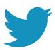 Twitter Bird Icon